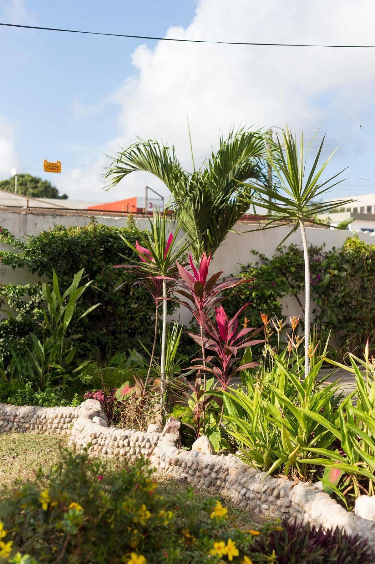 Agoo Hostel (Adults Only) Άκρα Εξωτερικό φωτογραφία